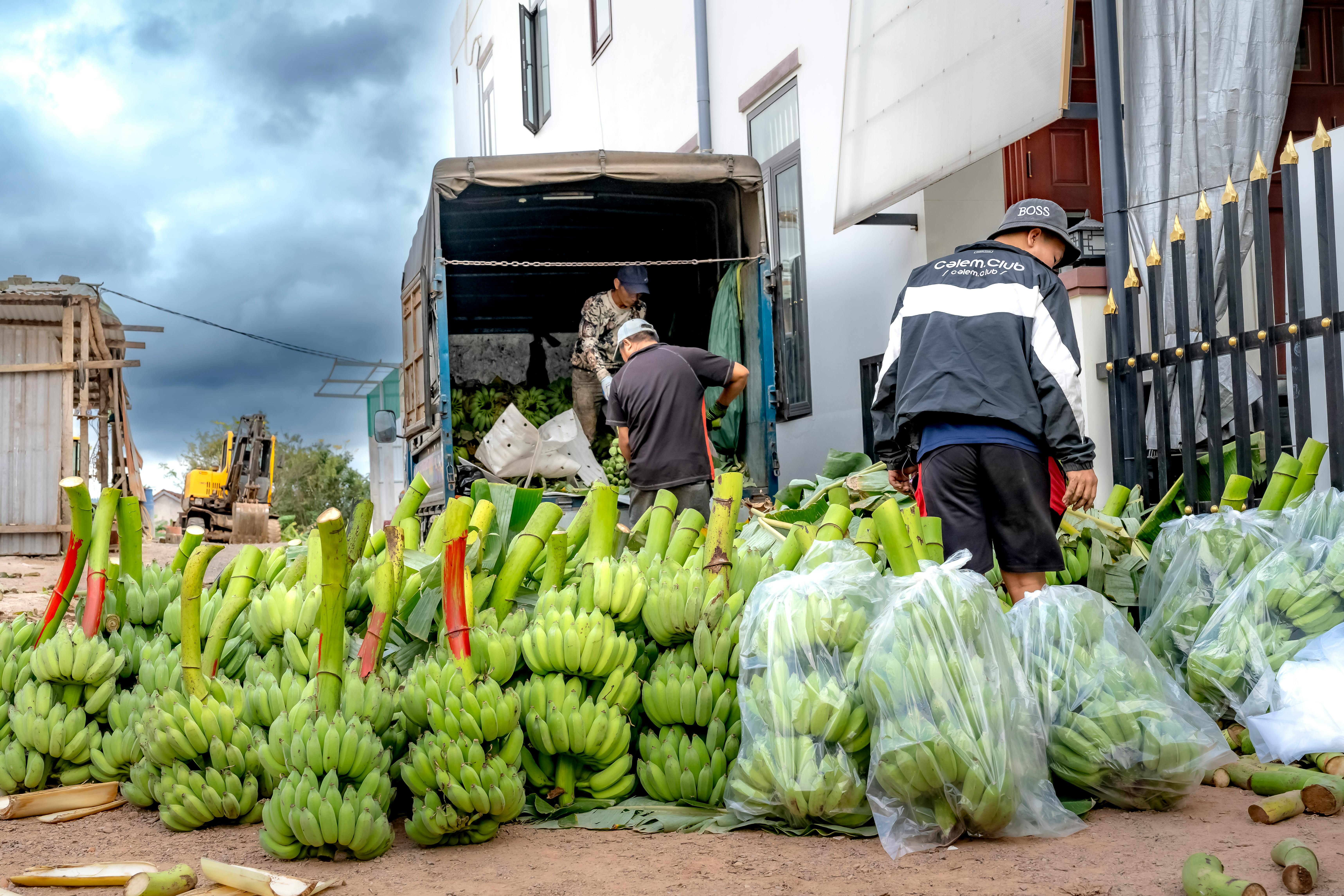 Transforming Agriculture Supply Chains with Innovation